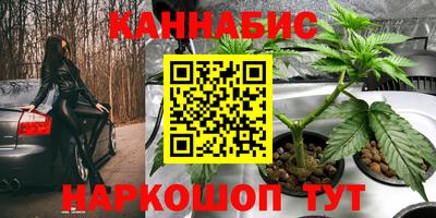 сатива Гагарин