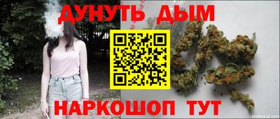 сатива Гагарин
