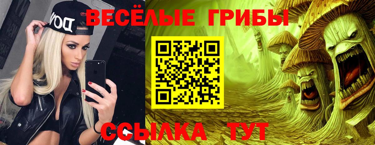 Нурлат  Галлюциногенные грибы ЛСД  Вход с VPN  Галлюциногенные грибы Psilocybine cubensis 
