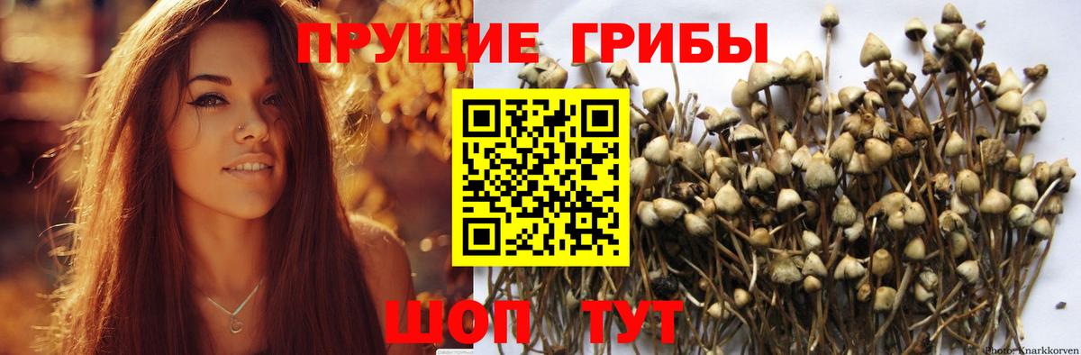 Галлюциногенные грибы Cubensis Нурлат