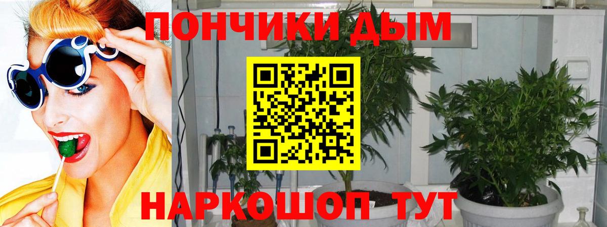 Марихуана план Нурлат